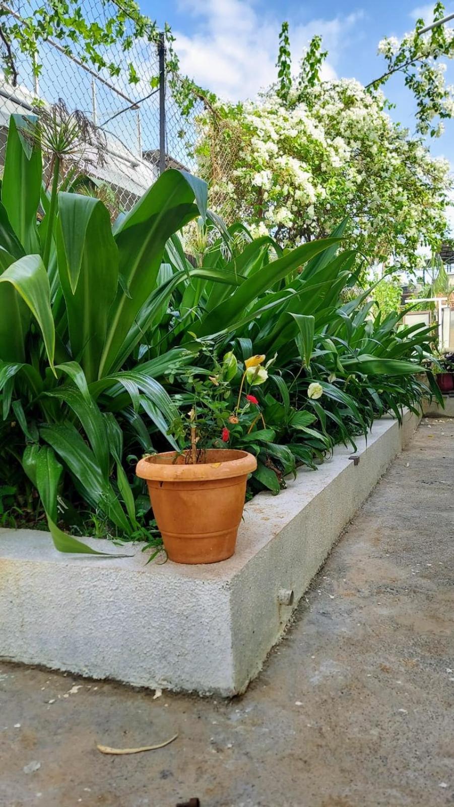Lonavala Francis Villa Exclusive 4-Bedroom Family Retreat With Pool Exterior foto